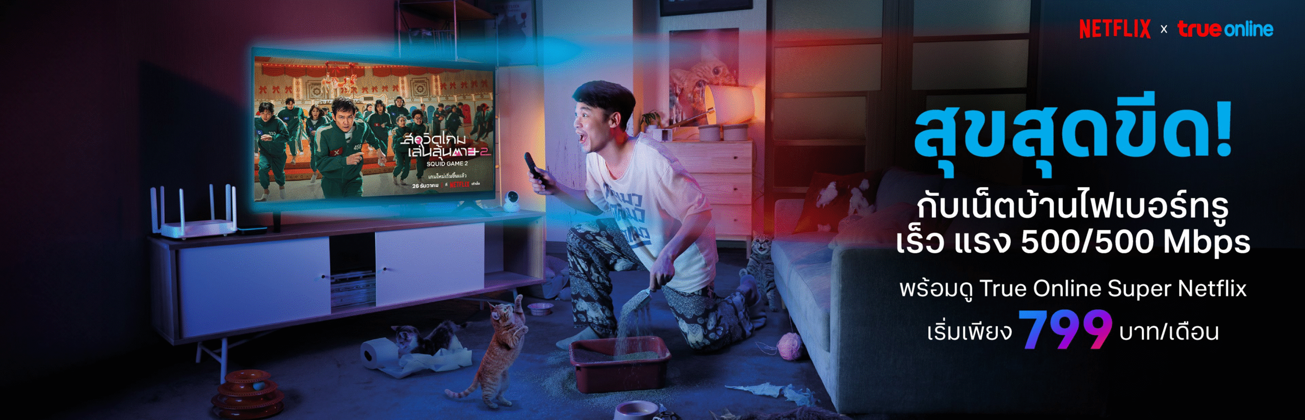 AW-TOL-Nexflix-Interco-Web-Banne